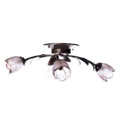 Люстра Sun Light 74802-4