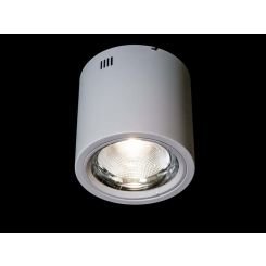 Накладной светодиодный точечный светильник Diasha DB-SR225-COB-50W-W